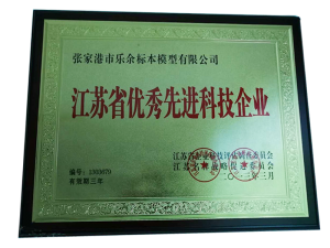 優秀先進科技企業證書